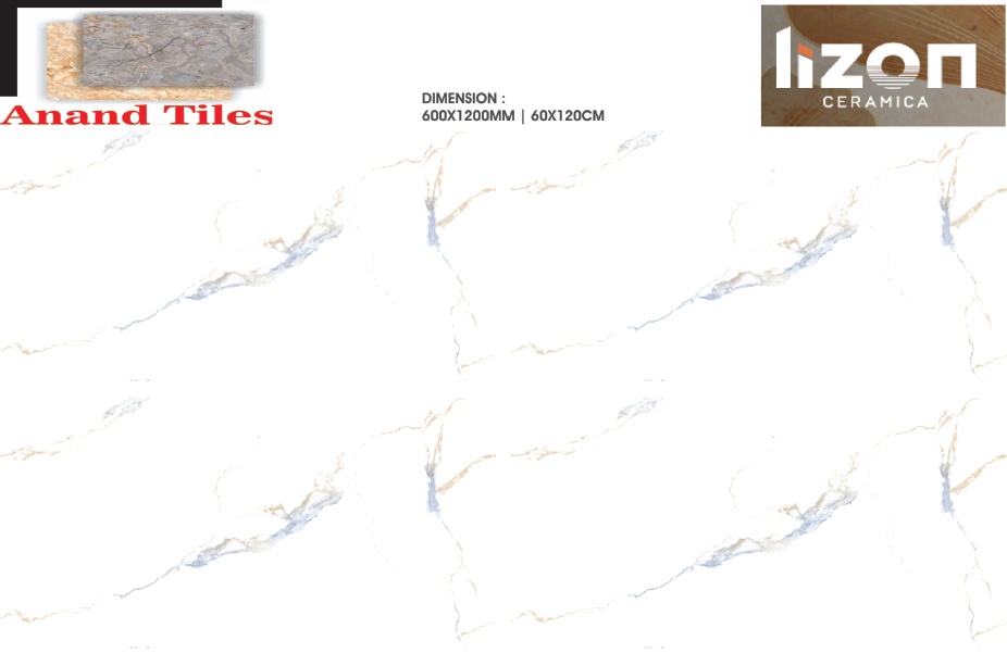 LIZON 600X1200 GVT TILES